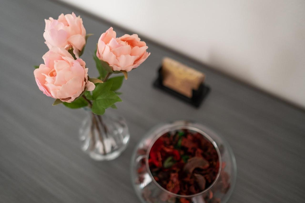 Studio 24 - Holiday & Business Apartment Bolonya Dış mekan fotoğraf